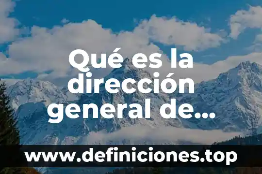 Qué es la dirección general de almex en México