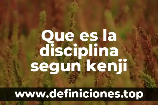 Que es un enfoque según perez 5 Que es la disciplina segun kenji