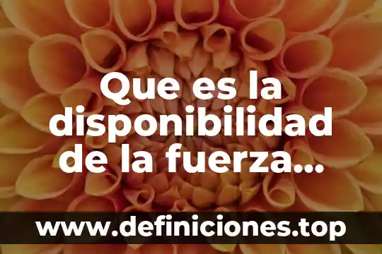 Que es lo que da la fuerza en el cuerpo 5 Que es la disponibilidad de la fuerza productiva