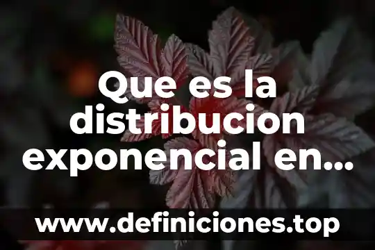 Que es una funcion exponencial y logaritmos 8 Que es la distribucion exponencial en estadistica