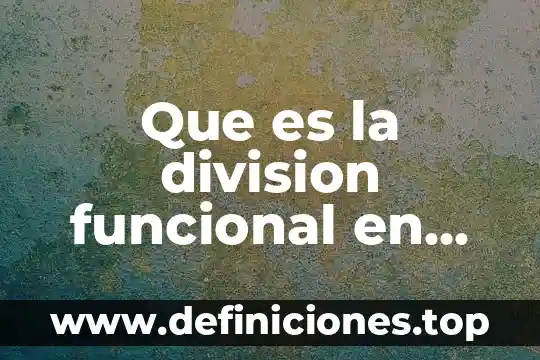 Que es el sistema funcional complejo 4 Que es la division funcional en sistema de informacion