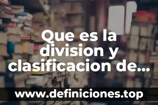 Que es salud bucal concepto 7 Que es la division y clasificacion de un concepto