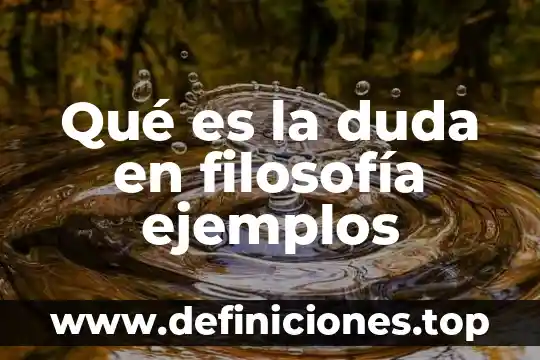 Que es un sistema de informacion ejemplos 3 Qué es la duda en filosofía ejemplos