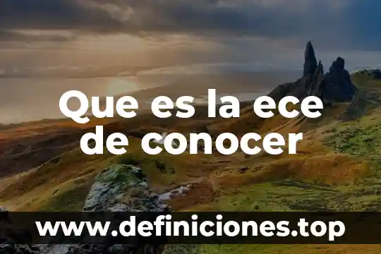 Que es basar y bazar 8 Que es la ece de conocer