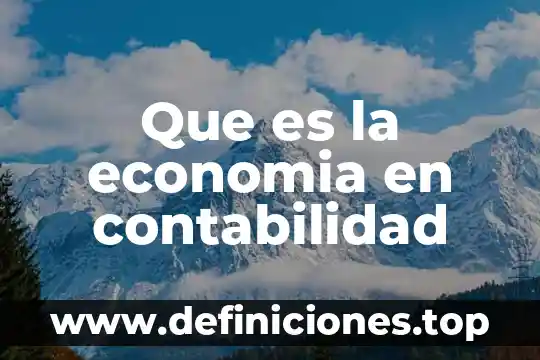 Que es la economia en contabilidad