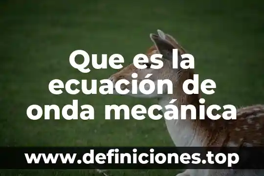 Que es burguesa significado 7 Que es la ecuación de onda mecánica