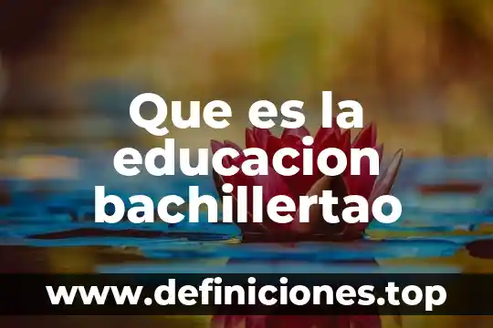 Que es la educacion bachillertao
