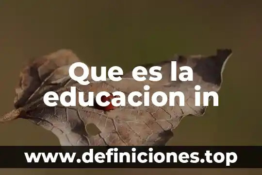 Qué es el bullyng clasificación y tipos 5 Que es la educacion in