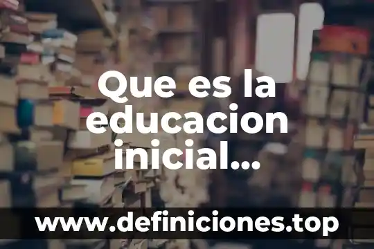 Que es la educacion inicial concepto