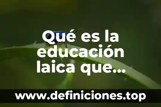 Qué es el modelo de VAK y quién lo propuso 3 Qué es la educación laica que propuso Adela Zamudio