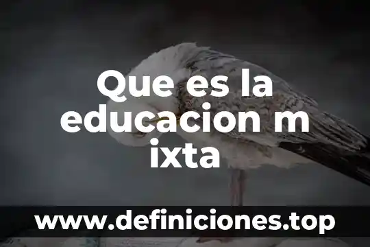 Que es tecnologia naval 4 Que es la educacion m ixta