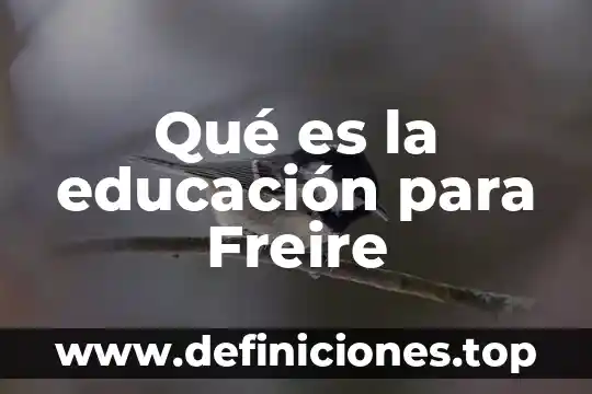 Que es la cultura del silencio de paulo freire 7 Qué es la educación para Freire