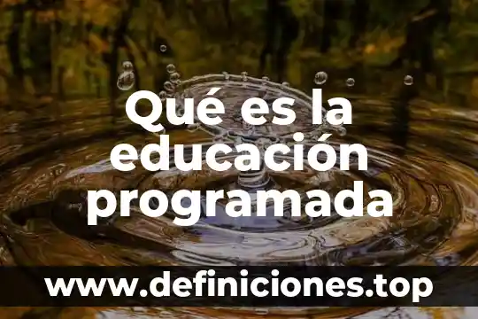Qué es la educación programada