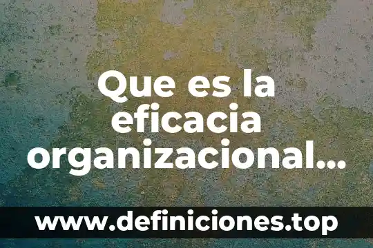 Que es la eficacia organizacional definicion