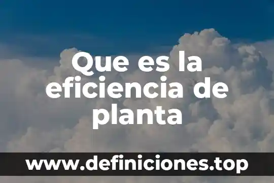 Que es la eficiencia de planta
