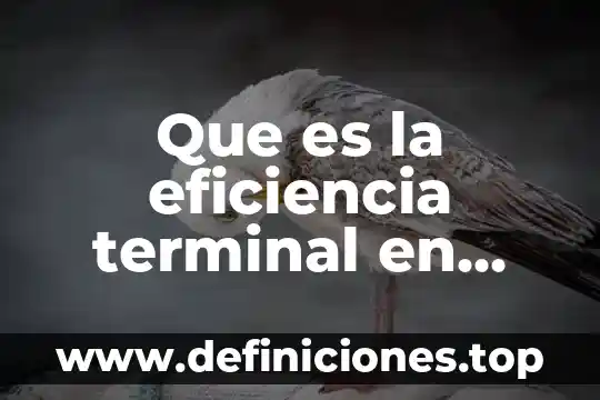 Que es la eficiencia en quimica 7 Que es la eficiencia terminal en educacion primaria