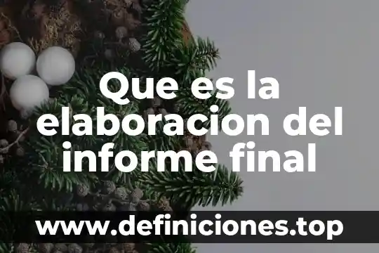 Por que es arte el juicio final 3 Que es la elaboracion del informe final