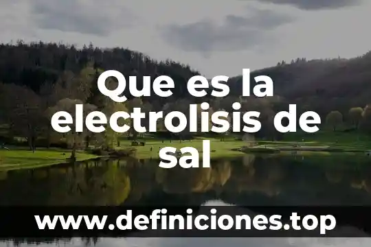 Que es la electrolisis de sal