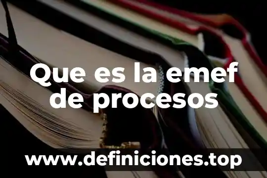 Que es diagramacion de procesos 3 Que es la emef de procesos