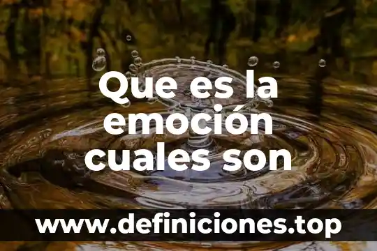 Que es la emoción cuales son