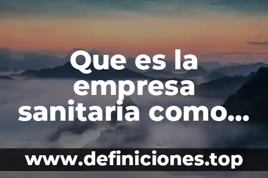 Que es la empresa soled 7 Que es la empresa sanitaria como organizacion