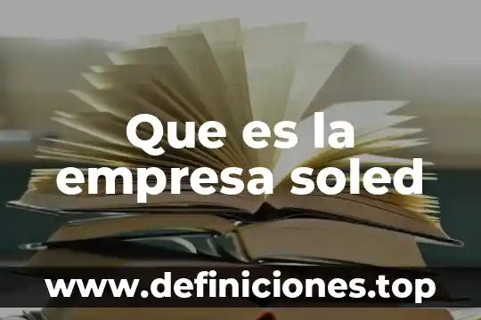 Que es c.v de empresa 8 Que es la empresa soled