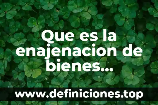 Qué es una unidad de funciones físicas 3 Que es la enajenacion de bienes inmuebles personas fisicas