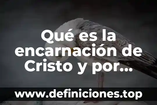 Qué es la encarnación de Cristo y por qué es importante