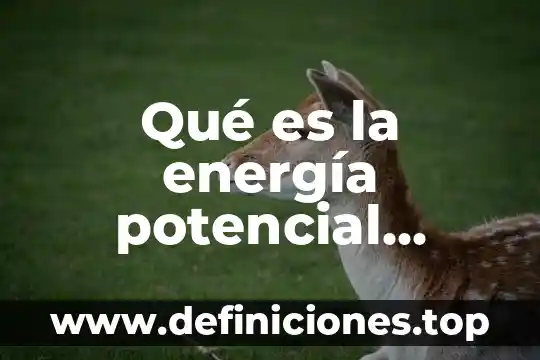 Que es el potencial de carga cero 8 Qué es la energía potencial concepto