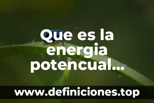 Que es la energia potencual breve definicion