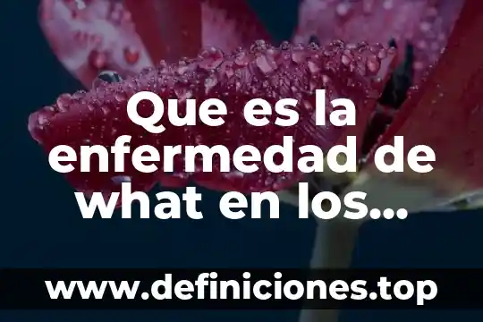 Que es bueno para la carnosidad en los ojos 6 Que es la enfermedad de what en los ojos