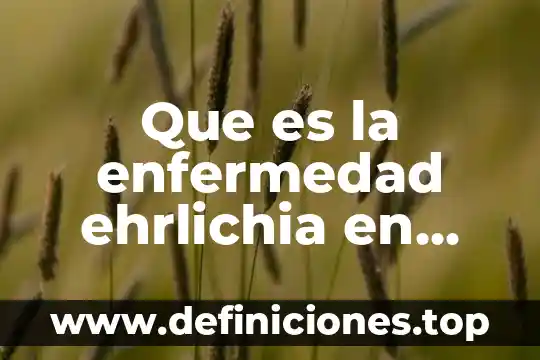 Que es la dni en mexico para sol 3 Que es la enfermedad ehrlichia en humanos