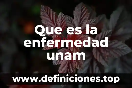 Qué es la bronquitis unam 7 Que es la enfermedad unam