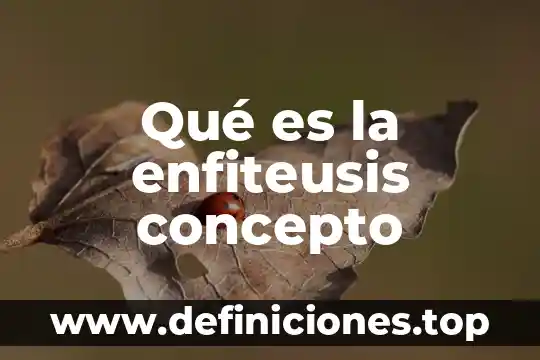 Qué es la enfiteusis concepto