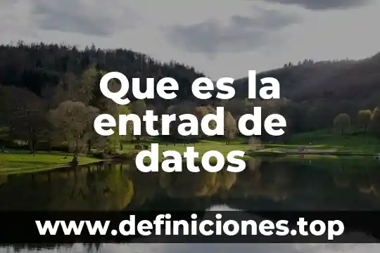 Que es la entrad de datos