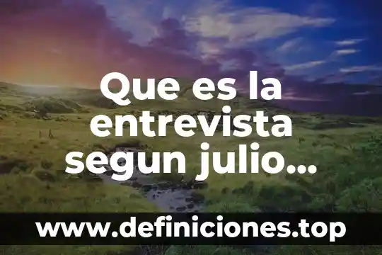 Qué es la entrevista y sus partes y características 3 Que es la entrevista segun julio scherer