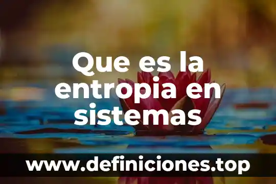 Que es scouting en sistemas 8 Que es la entropia en sistemas