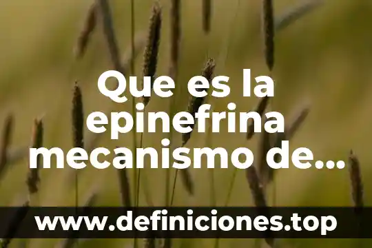 Que es la epinefrina mecanismo de accion