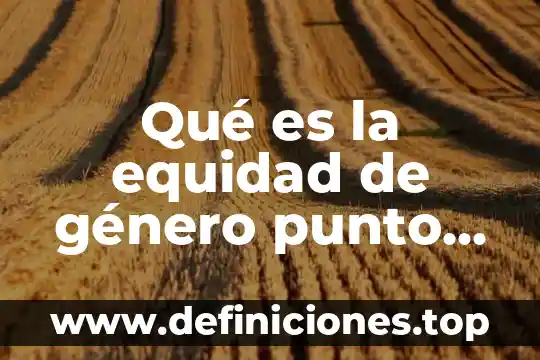 Que es correcto igualdad o equidad de genero 7 Qué es la equidad de género punto de vista