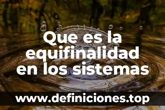 Que es la equifinalidad en los sistemas