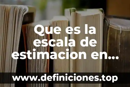 Que es la escala de estimacion en estadistica