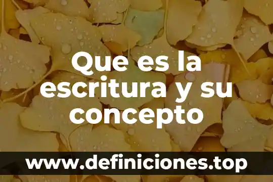 Que es la escritura y su concepto