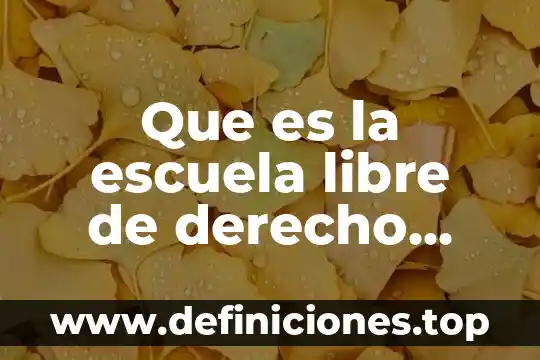 Que es la escuela libre de derecho garcia maynez