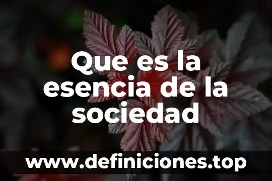 Que es la esencia de la sociedad