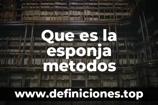 Que es el conocimiento sus elementos metodos tipos y objetivos 7 Que es la esponja metodos