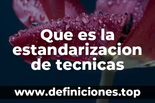 Que es un canal de comunicacion estandarizacion en las empresas 3 Que es la estandarizacion de tecnicas