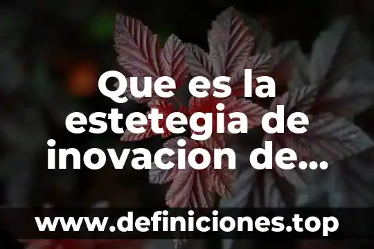 Que es un producto artesanal y como se elabora 8 Que es la estetegia de inovacion de producto