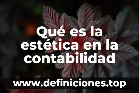 Qué es la estética en la contabilidad