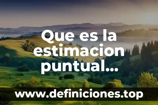 Que es la estimacion puntual concepto