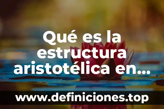 Qué es un teatrino en una obra de teatro 8 Qué es la estructura aristotélica en el teatro